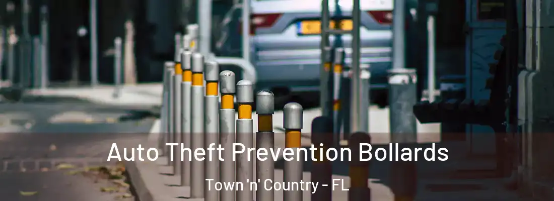  Auto Theft Prevention Bollards Town 'n' Country - FL