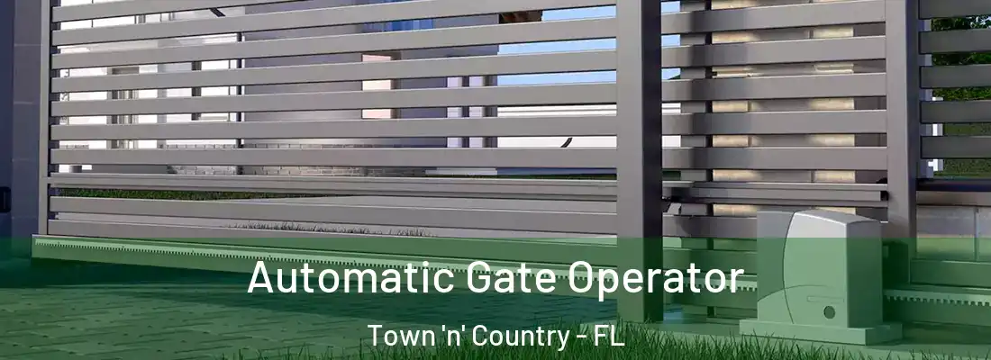  Automatic Gate Operator Town 'n' Country - FL