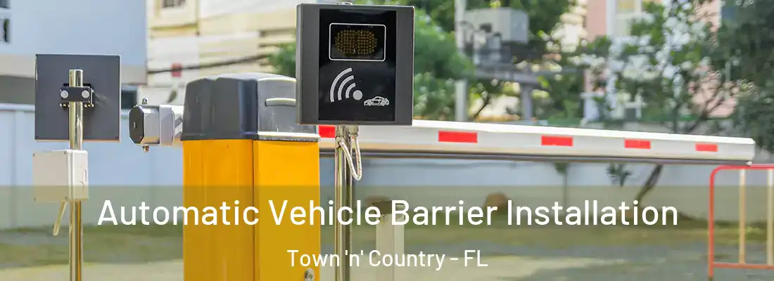  Automatic Vehicle Barrier Installation Town 'n' Country - FL