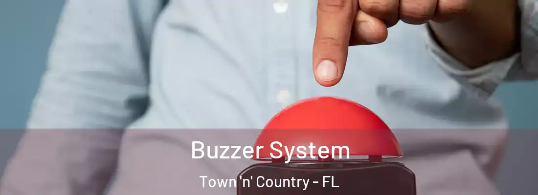 Buzzer System Town 'n' Country - FL