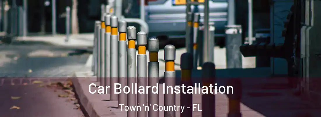  Car Bollard Installation Town 'n' Country - FL