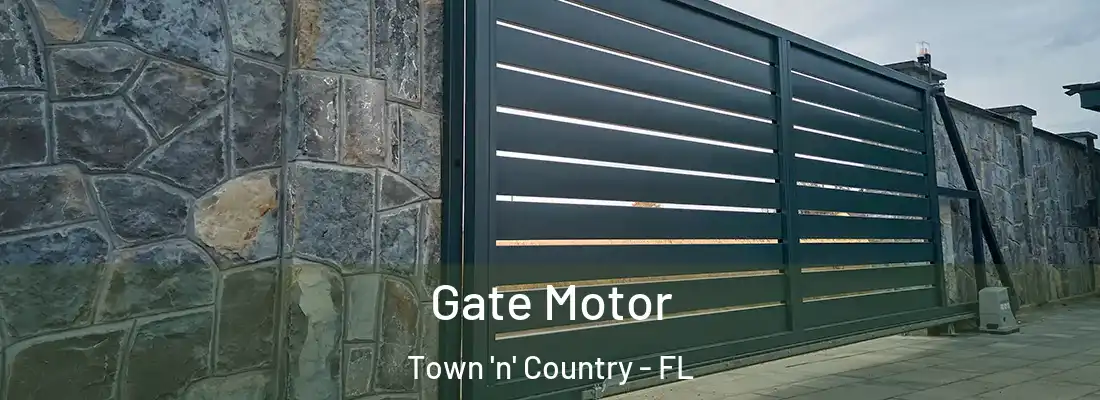 Gate Motor Town 'n' Country - FL