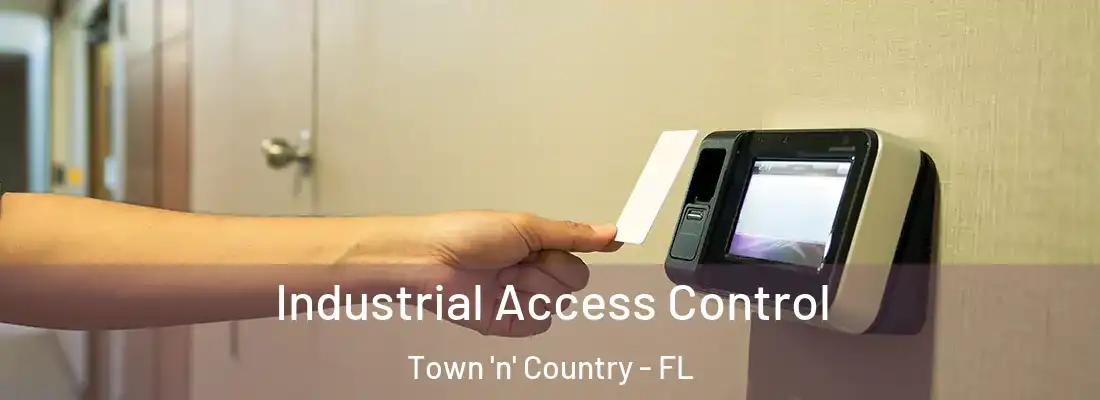Industrial Access Control Town 'n' Country - FL