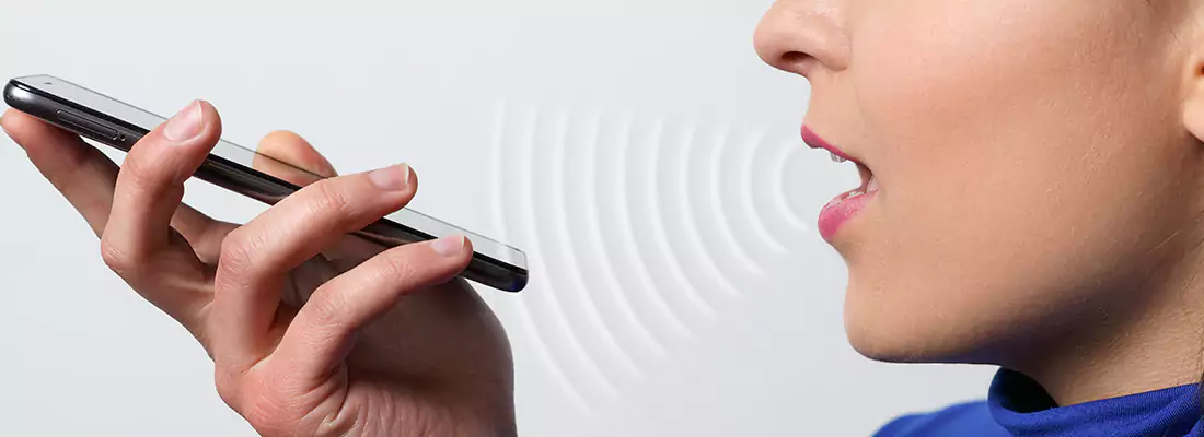 Residential and Commercial Voice Recognition Access Solutions in Town 'n' Country, FL