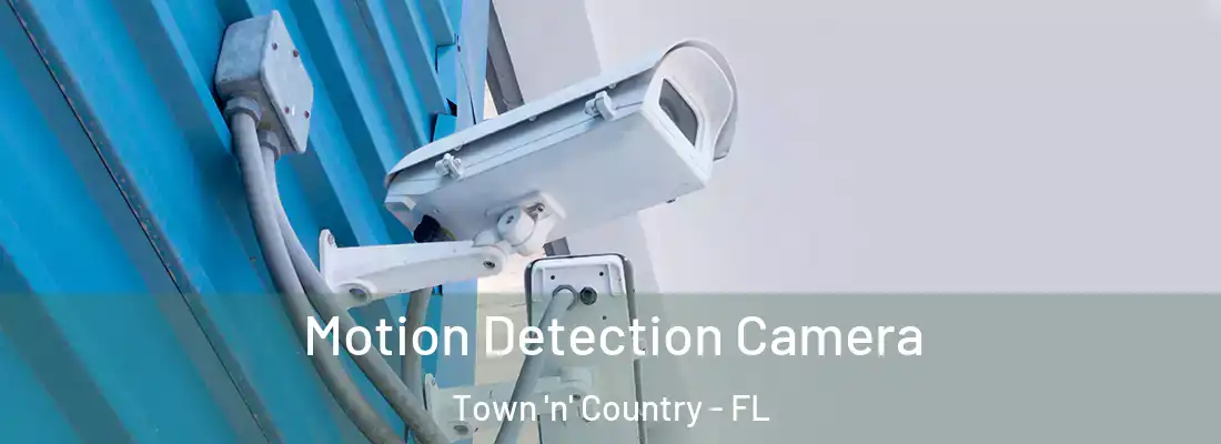 Motion Detection Camera Town 'n' Country - FL