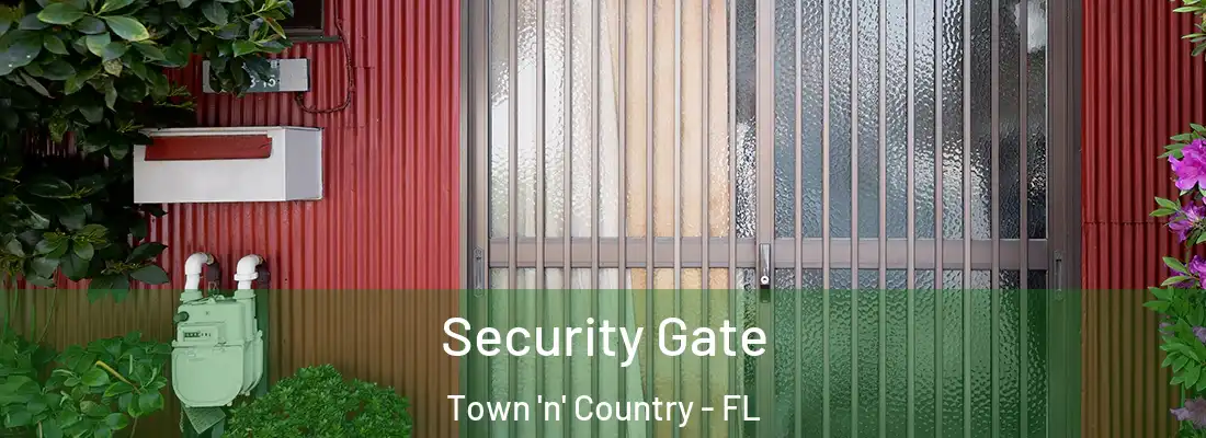 Security Gate Town 'n' Country - FL