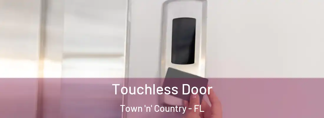 Touchless Door Town 'n' Country - FL